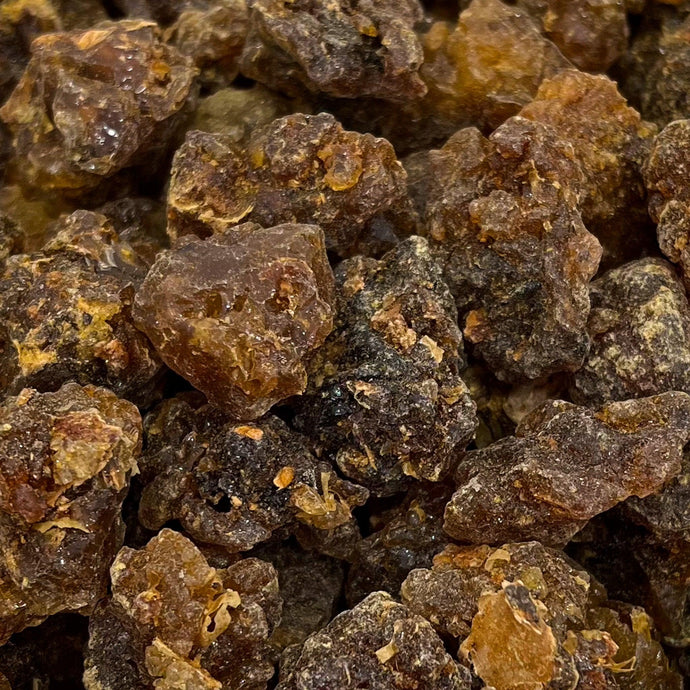 Sacred Myrrh Socotra Island Yemen (Commiphora myrrha) - Frankincense Pure