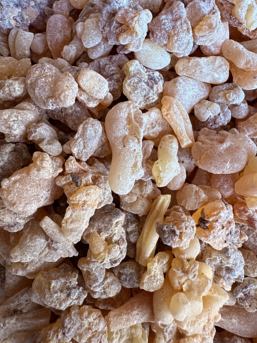Shallaki Frankincense India (Boswellia Serrata) Salai Guggul