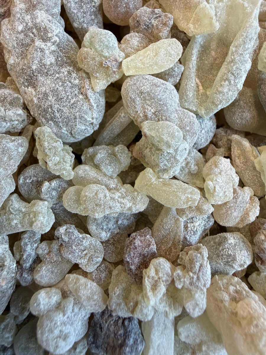 Shallaki Frankincense India (Boswellia Serrata) Salai Guggul