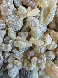 Thumbnail for Shallaki Frankincense India (Boswellia Serrata) Salai Guggul