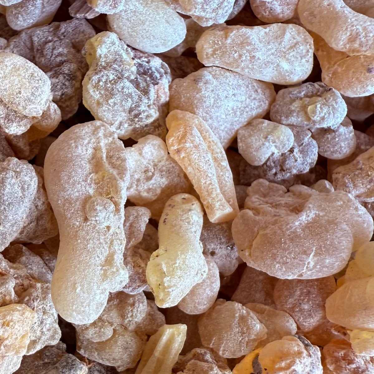 Shallaki Frankincense India (Boswellia Serrata) Salai Guggul