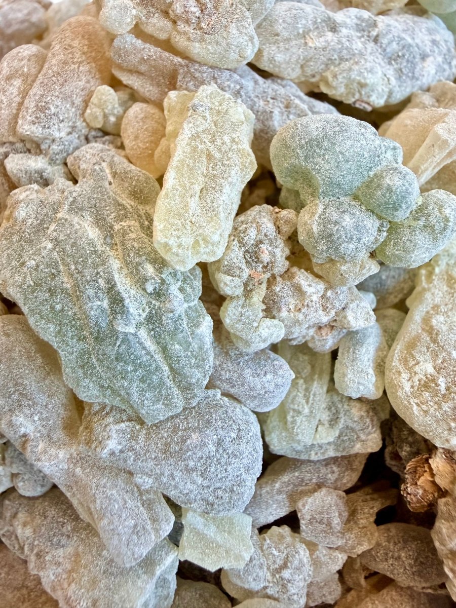 Shallaki Frankincense India (Boswellia Serrata) Salai Guggul