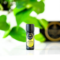 Thumbnail for Terrazzo Concrete Ultrasonic Essential Oil Diffuser with Glass Dome