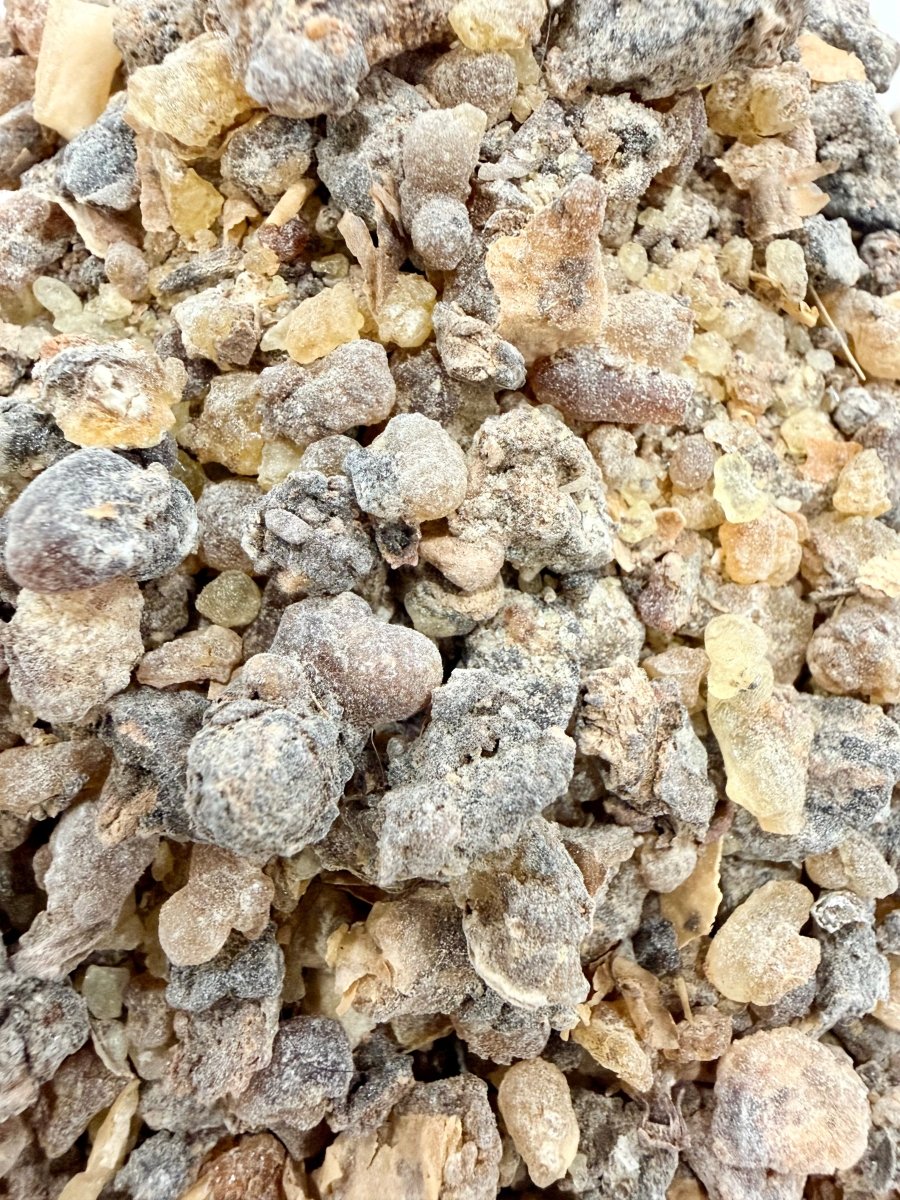 ⭐️ ULTRA RARE ⭐️ Ameero Frankincense Socotra Island Yemen (Boswellia Ameero)