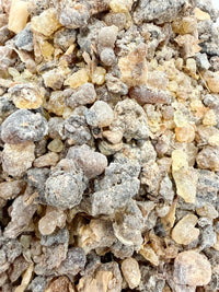 Thumbnail for ⭐️ ULTRA RARE ⭐️ Ameero Frankincense Socotra Island Yemen (Boswellia Ameero)