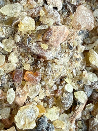 Thumbnail for ⭐️ ULTRA RARE ⭐️ Ameero Frankincense Socotra Island Yemen (Boswellia Ameero)