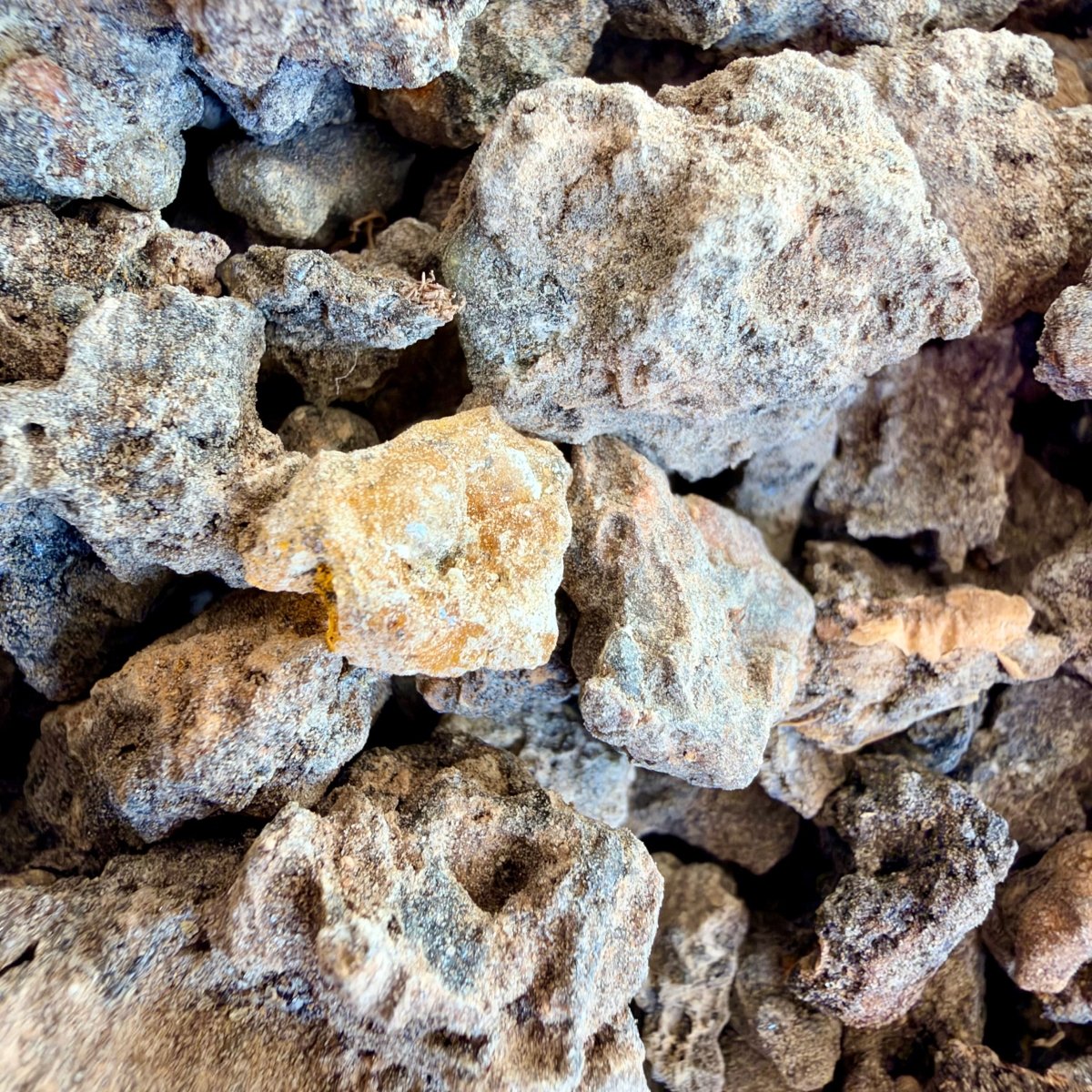 ⭐️ ULTRA RARE ⭐️ Ameero Frankincense Socotra Island Yemen (Boswellia Ameero)
