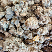 Thumbnail for ⭐️ ULTRA RARE ⭐️ Ameero Frankincense Socotra Island Yemen (Boswellia Ameero)