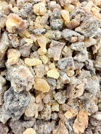 Thumbnail for ⭐️ ULTRA RARE ⭐️ Ameero Frankincense Socotra Island Yemen (Boswellia Ameero)
