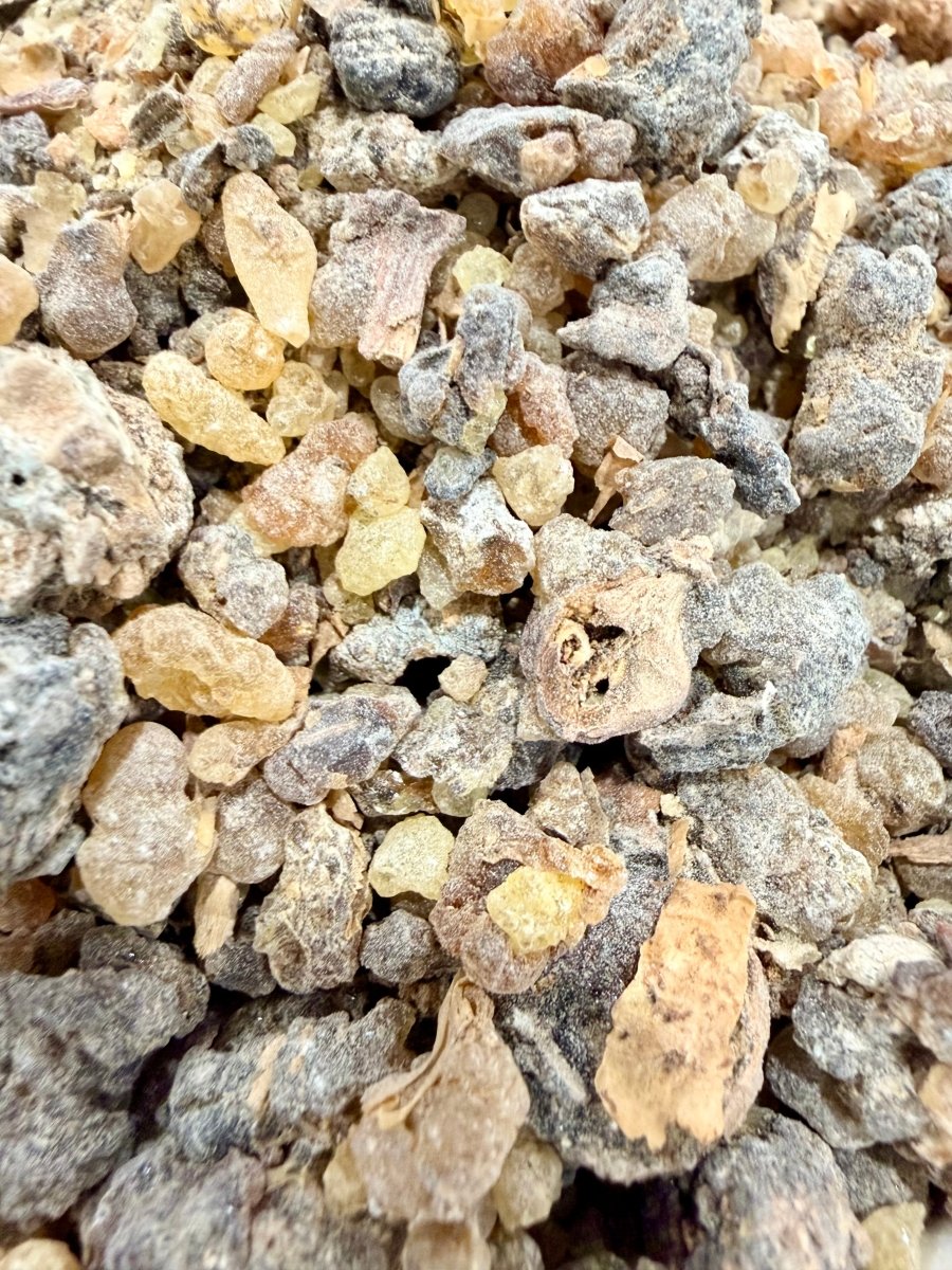 ⭐️ ULTRA RARE ⭐️ Ameero Frankincense Socotra Island Yemen (Boswellia Ameero)