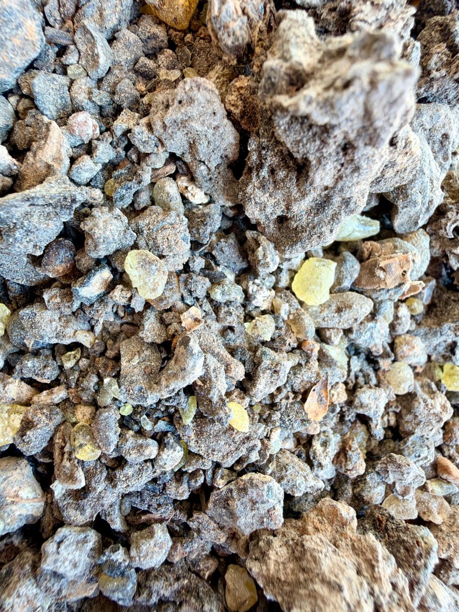 ⭐️ ULTRA RARE ⭐️ Ameero Frankincense Socotra Island Yemen (Boswellia Ameero)