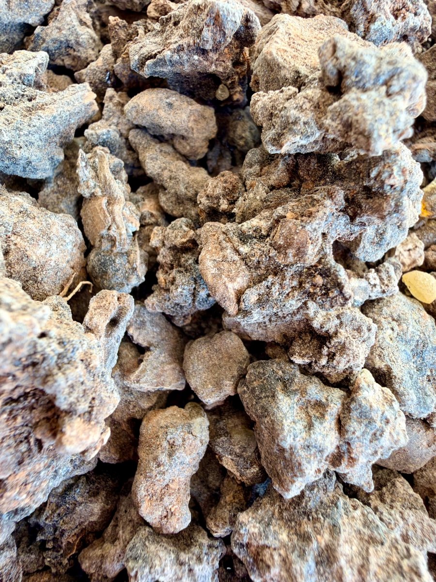 ⭐️ ULTRA RARE ⭐️ Ameero Frankincense Socotra Island Yemen (Boswellia Ameero)