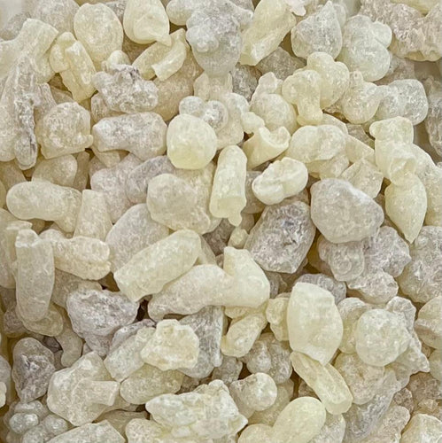 White Hojari Frankincense Oman (Boswellia Sacra) - Frankincense Pure