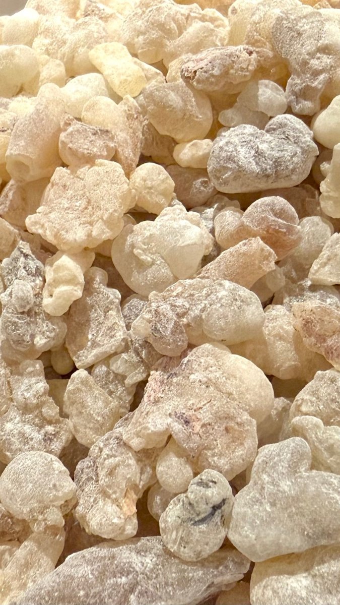 White Hojari Frankincense Oman (Boswellia Sacra)
