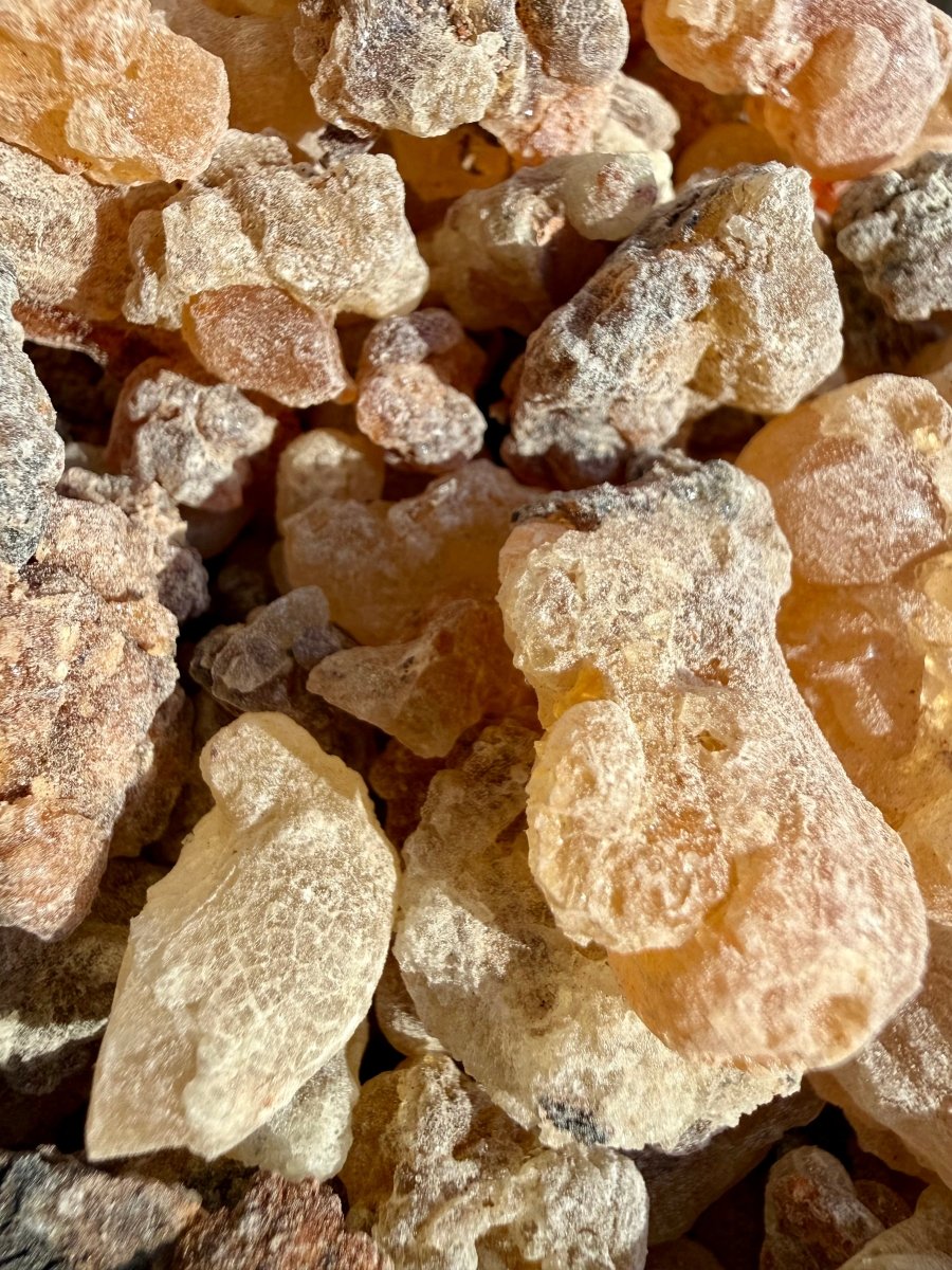 White Neglecta Frankincense Kenya (Boswellia Neglecta)