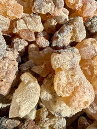 Thumbnail for White Neglecta Frankincense Kenya (Boswellia Neglecta)