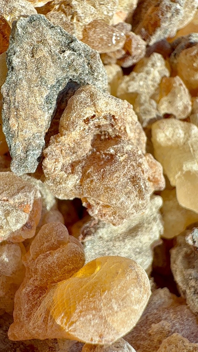 White Neglecta Frankincense Kenya (Boswellia Neglecta)