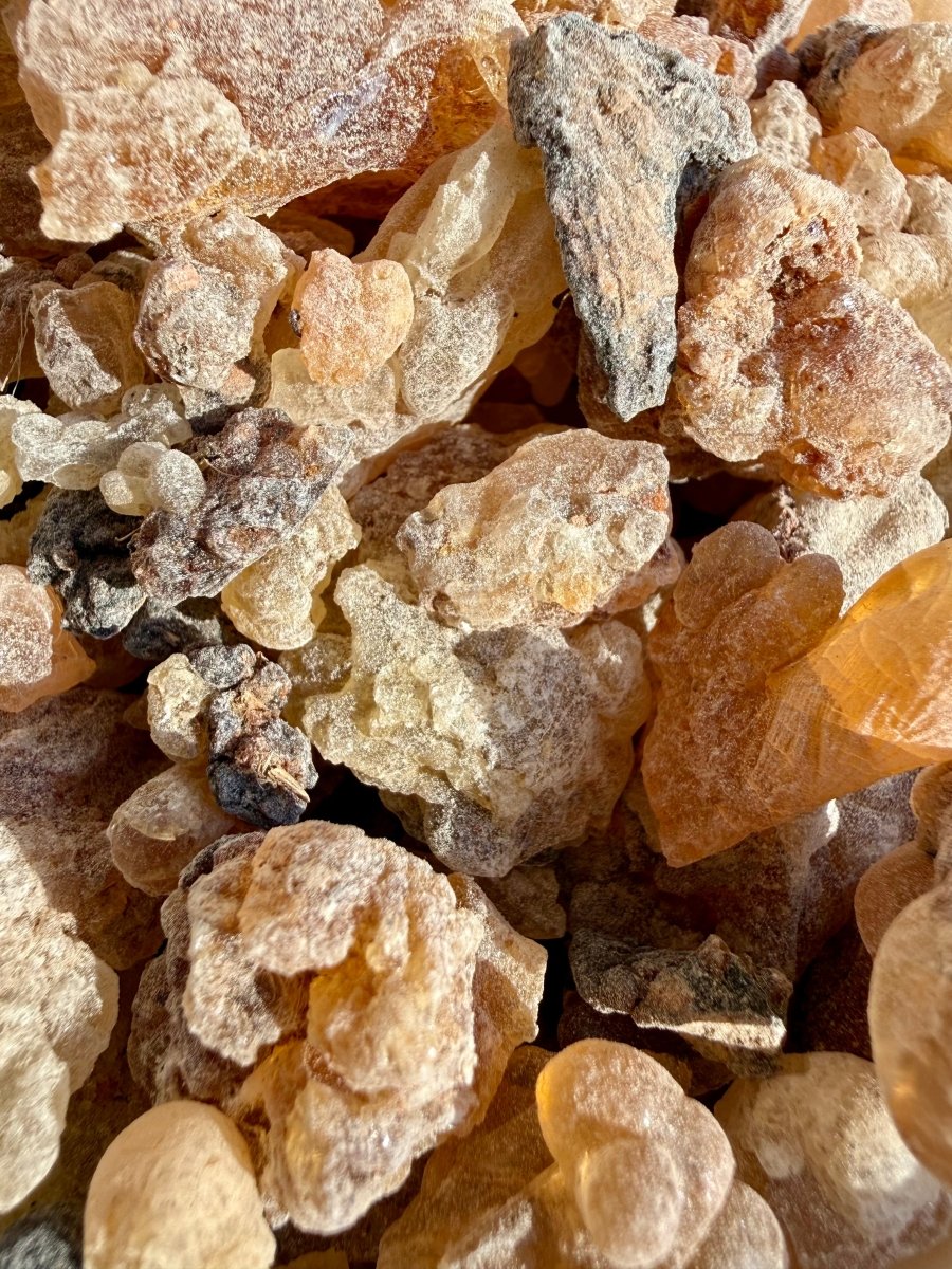White Neglecta Frankincense Kenya (Boswellia Neglecta)