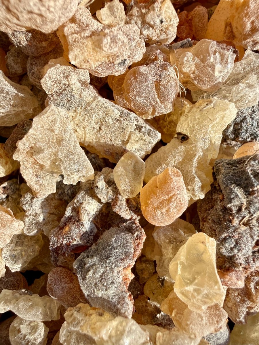 White Neglecta Frankincense Kenya (Boswellia Neglecta)
