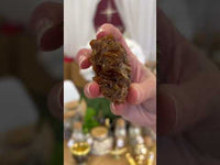 Sacred Myrrh Socotra Island Yemen (Commiphora myrrha)