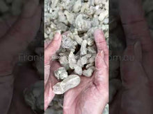 Load and play video in Gallery viewer, Sultan Royal Hojari Frankincense Oman (Boswellia Sacra)
