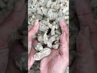 ⭐️ RARE ⭐️ Sultan Royal Hojari Frankincense Oman (Boswellia Sacra)